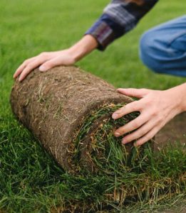 pokladka travnika zahrady vychod